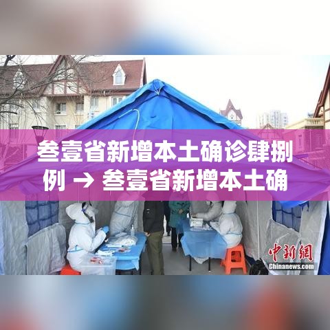 叁壹省新增本土确诊肆捌例 → 叁壹省新增本土确诊肆贰例